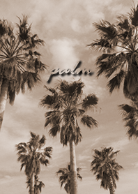 Nostalgic feeling of palms on the beach