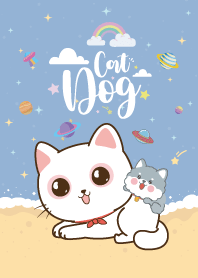 ทาสหมาแมว ชายหาด ทะเล