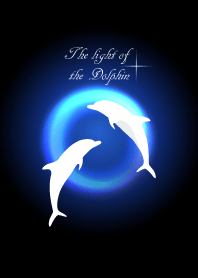 The light of the Dolphin 3