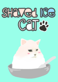 Shaved ice cat