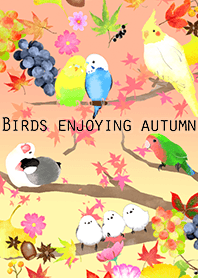 享受秋天的鳥