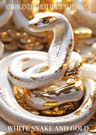 White snake and gold  Lucky 49