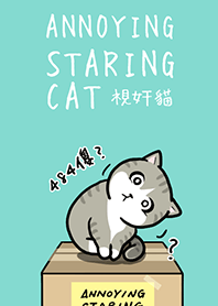 Annoying Staring Cat