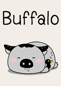 Buffalo So Cute