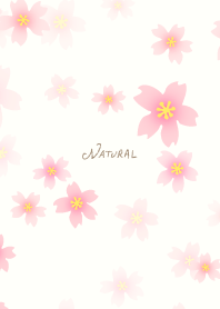 A cherry tree flutters down20 from Japan