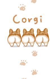 ง่าย Welsh Corgi.