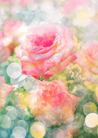 Beautiful rose flower(R2414)