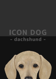 ICON DOG - dachshund - BLACK/03