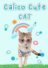 ธีมแมวพาสเทลสามสี