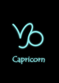 星座・摩羯座