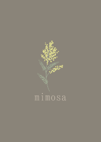 mimosa simple brown
