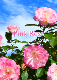 「ピンク色の薔薇」きせかえ