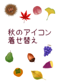 Theme of autumn icons in JAPAN