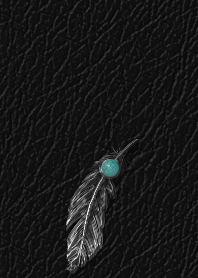 Black leather and silver feather