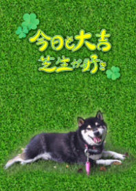 Today is also luck. I like a lawn.