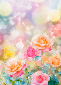 Beautiful rose flower(R2818)