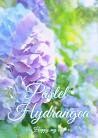 Pastel Hydrangea
