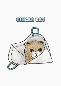 gingercat7 / white