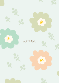 Flowers Fruits Autumn Grasses19