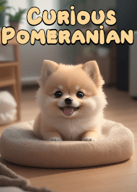 好奇的博美犬 VOL.6