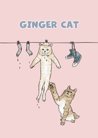 gingercat3 / baby pink