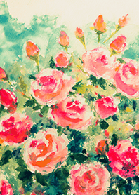 Beautiful rose flower(R4665)