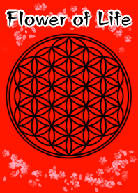 フラワーオブライフ