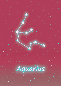 Wishing Constellation.Aquarius8