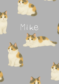 Chubby Calico Cat on white