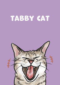 tabbycat4 - purple