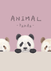 ANIMAL - Panda - DUSTY ROSE PINK