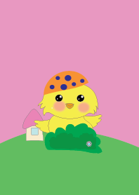 Little chicken 1