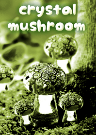 crystal mushroom !!