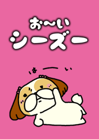 シーズー その1