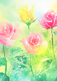 Beautiful rose flower(R2007)