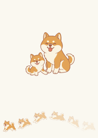Active Shiba Inu.14