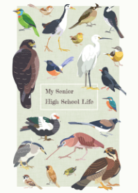 (Taiwan bird) My senior high school life