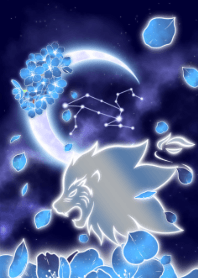 蓝色的樱花 狮子座