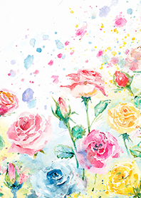 Beautiful rose flower(R4154)