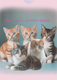 Kamar anak kucing Doradora