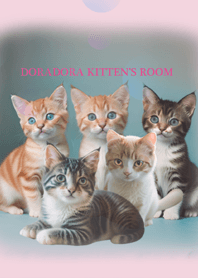 Doradora kitten's room