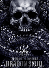 スピードメタルボーンファイヤー 2