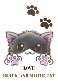 LOVE BLACK AND WHITE CAT