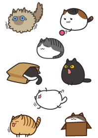 ふっくら猫