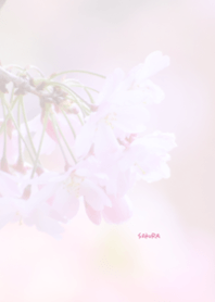 Japanese SAKURA Theme ver.Japan 25
