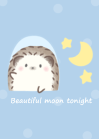 A Hedgehog on a Gentle Moonlit Night