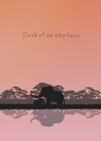 Dusk of an elephant