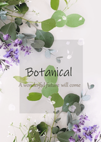 Stylish natural botanicals13