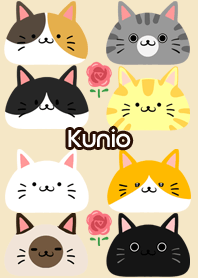 Kunio Scandinavian cute cat3