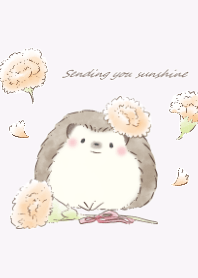 Hedgehog&Carnation:purple